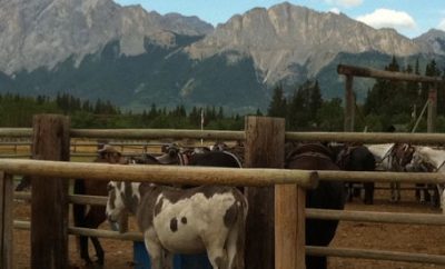 Get out of town and play cowboy at the Rafter Six Ranch just outside Calgary