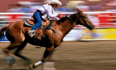 Culture, Fun, and Rodeo at Summer Festivals in Calgary